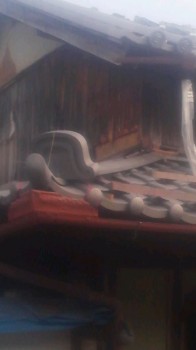 110808_0822 110808_0822~010001.jpg